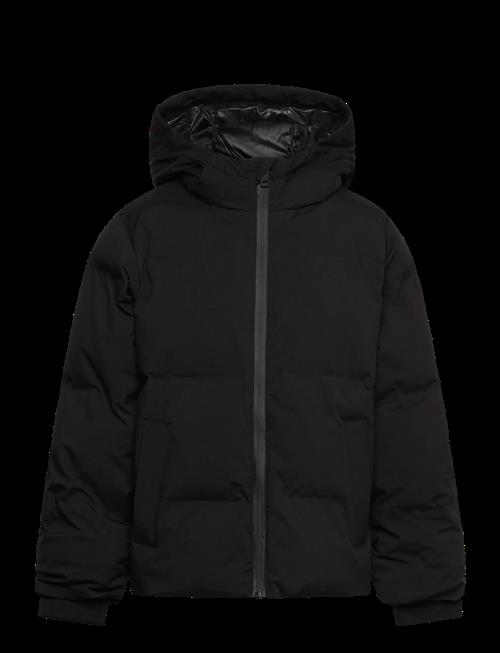 Jack & Jones | Jjkaito Puffer Jacket Mni | 104