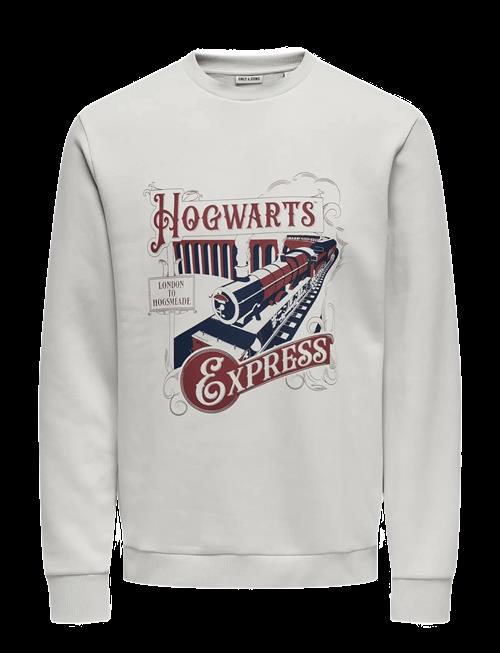 ONLY & SONS | Onsxmas Reg Crew Hp | L