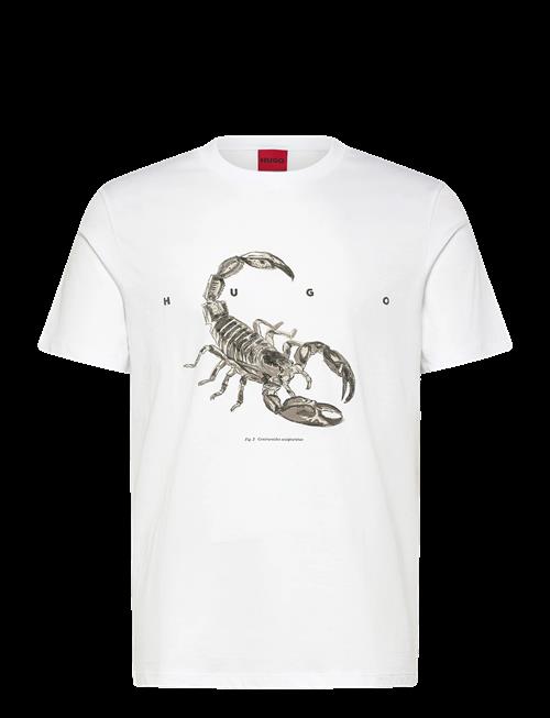 HUGO | Discorb | XL