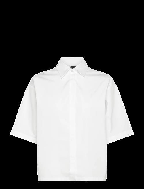 BOSS | Bimina | 46