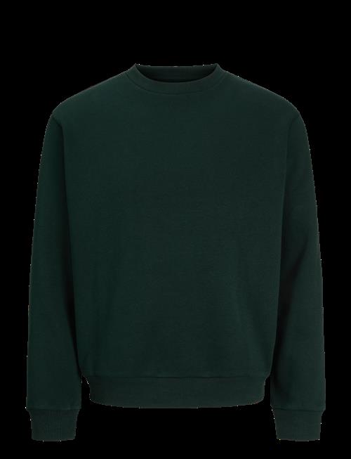 Jack & Jones | Jjebradley Sweat Crew Noos | XL
