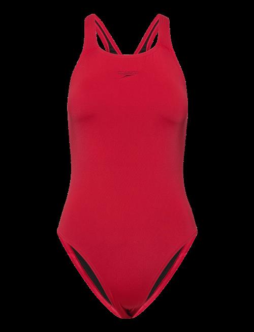 Speedo | Endurance+ Medalist Swimsuit | 44