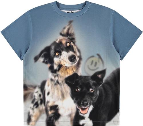 Molo Riley T-Shirts Short Sleeves Doggy Duo Doggy Duo 110 cm  Blå  110 cm  Drenge