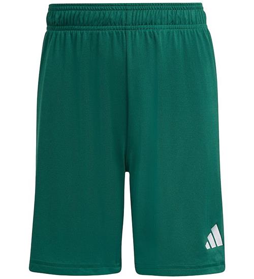 adidas Performance Shorts - ENT26 - Drkgrn/White