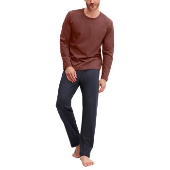 Calida Relax Essentials Pyjama Blå/Brun bomuld Large Herre