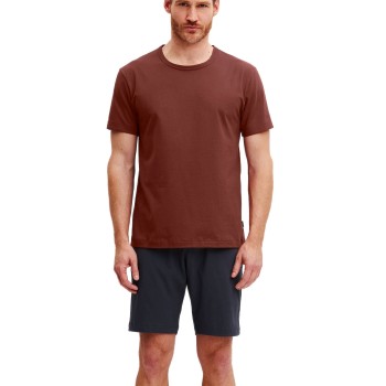 Calida Relax Essentials Short Pyjamas Blå/Brun bomuld X-Large Herre