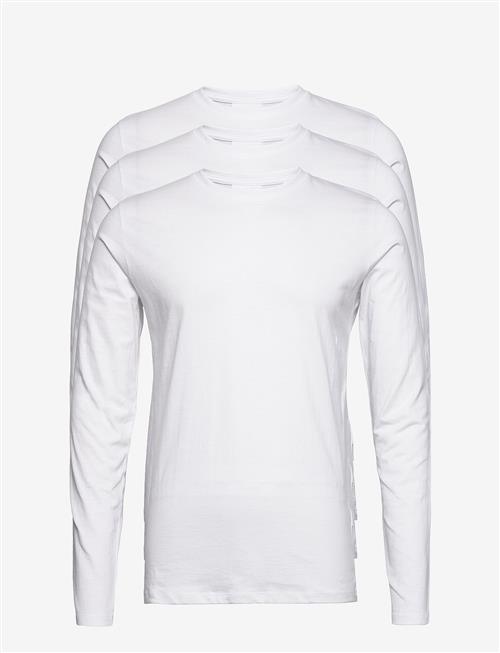 Lindbergh | 3-Pack Basic Tee L/S | XXL