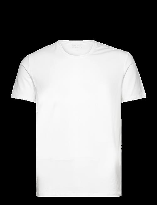 Frank Dandy | Bamboo Tee | XXL