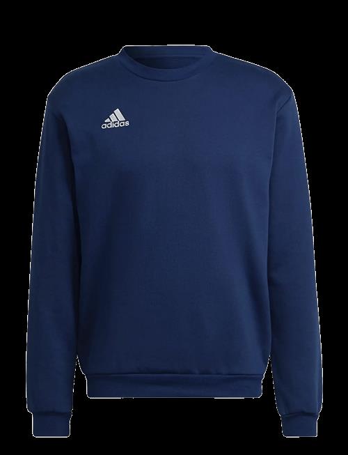 adidas Performance | Ent22 Sw Top | XS