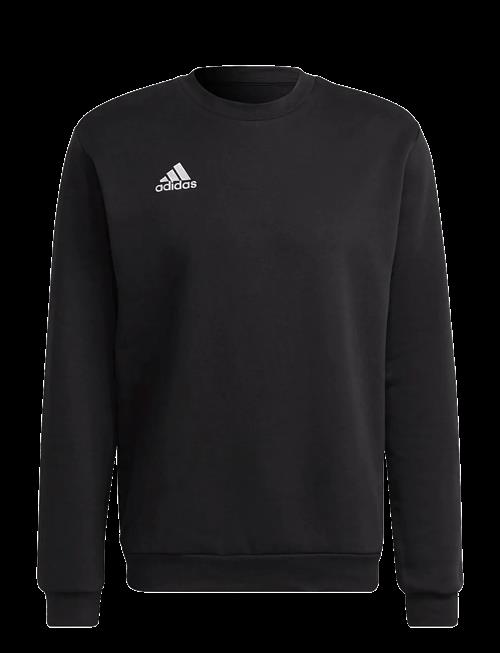 adidas Performance | Ent22 Sw Top | S