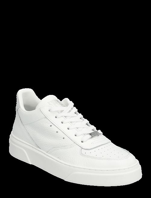 Steve Madden | Brent | 46
