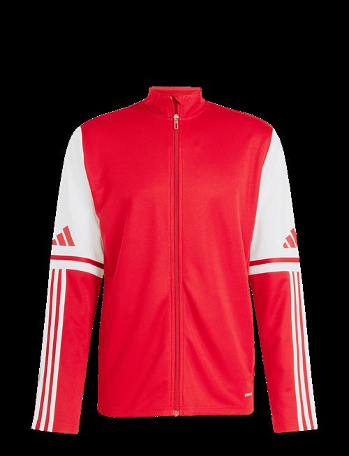 adidas Performance | Sq25 Tr Jkt | XXL