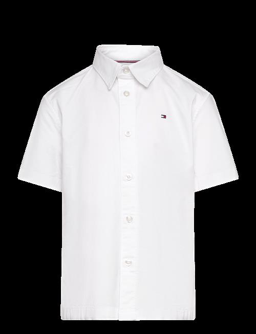 Tommy Hilfiger | Oxford Shirt | 140
