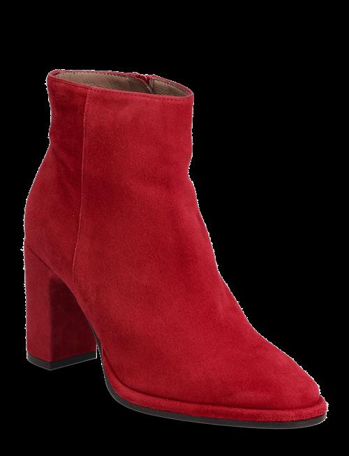 Se Wonders | Ostro | 37 hos Booztlet