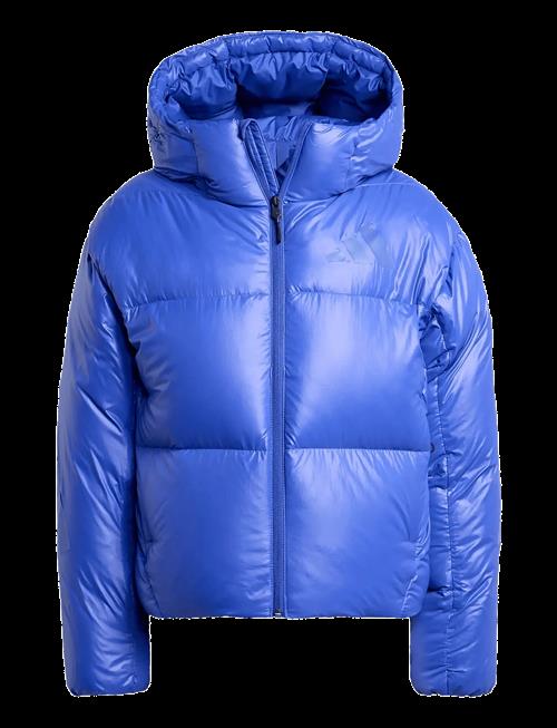 adidas Sportswear | W Z.n.e. Puffer | L