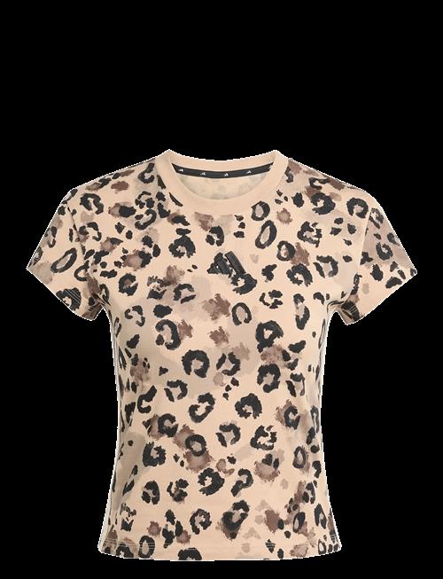 adidas Sportswear | W Aop Tee | XS