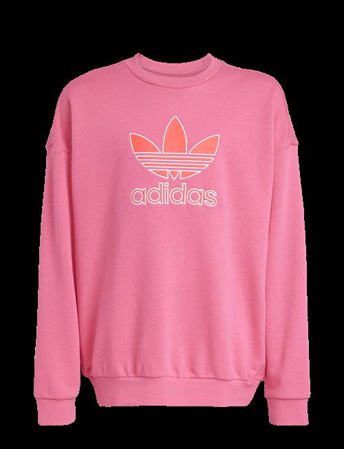 adidas Originals | Trefoil Crew | 164