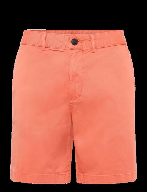 Lexington Clothing | Classic Cotton Twill Shorts | 31