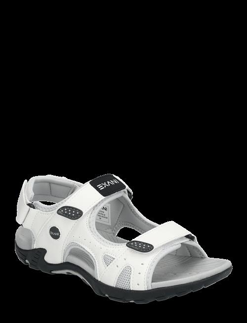Exani | Spider Pro W | 38