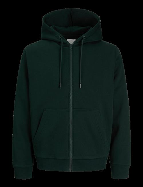 Jack & Jones | Jorebradley Sweat Zip Hood Noos | L