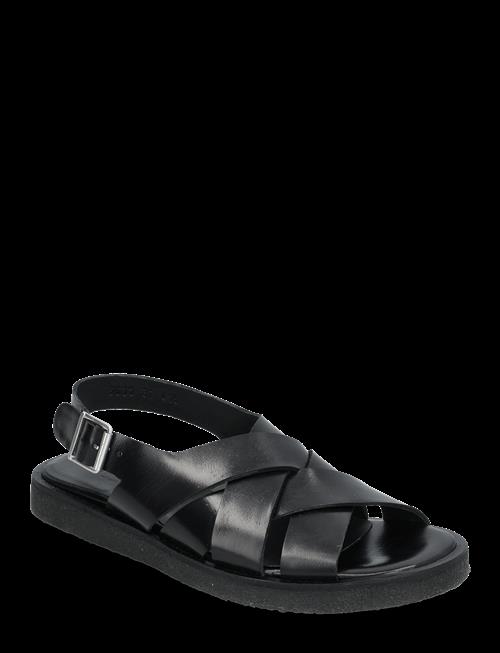 ANGULUS | Sandals - Flat  - Open Toe - Op | 37