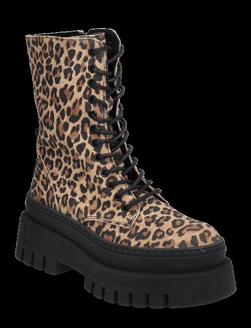 Steve Madden | Coast | 39