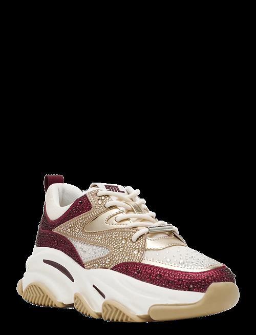 Steve Madden | Privy | 41