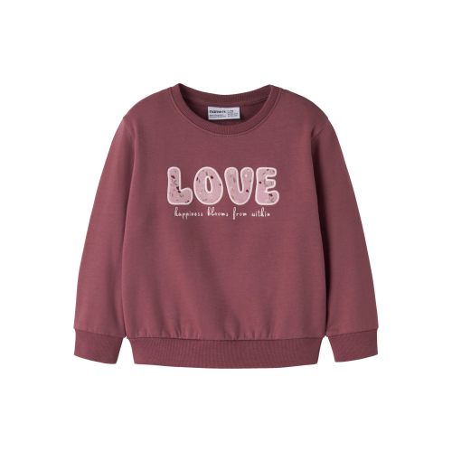 NAME IT Sweatshirt Oclove Wild Ginger