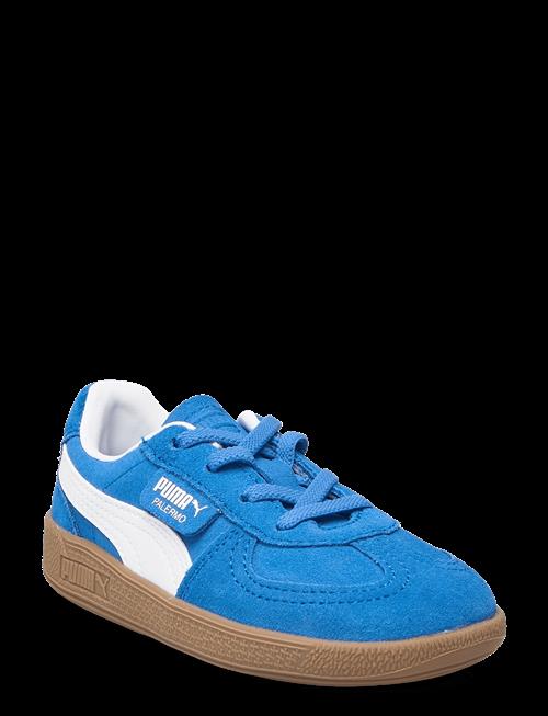 PUMA | Palermo Ac Inf | 22
