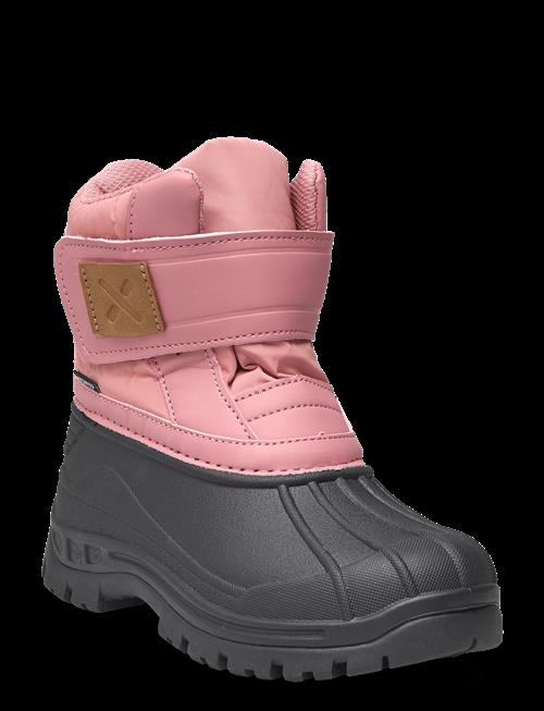 Exani | Winter K | 25-16.2CM