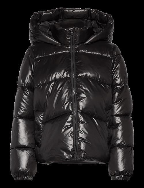 Vero Moda | Vmuppsashiny Short Jacket Excl | L