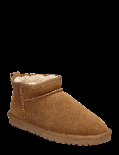 Exani | Ally Low W | 37