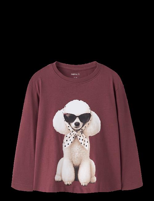 name it | Nmfvotea Ls Nreg Top | 110
