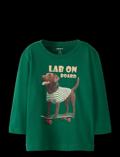name it | Nmmvoto Ls Nreg Top | 86