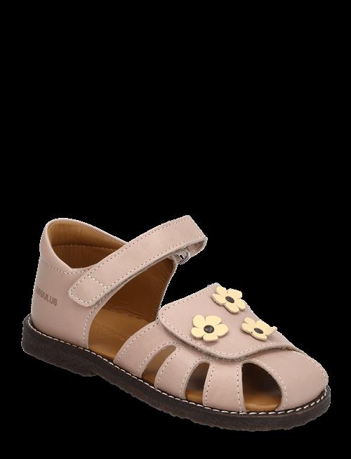 ANGULUS | Sandals - Flat  - Closed Toe | 23