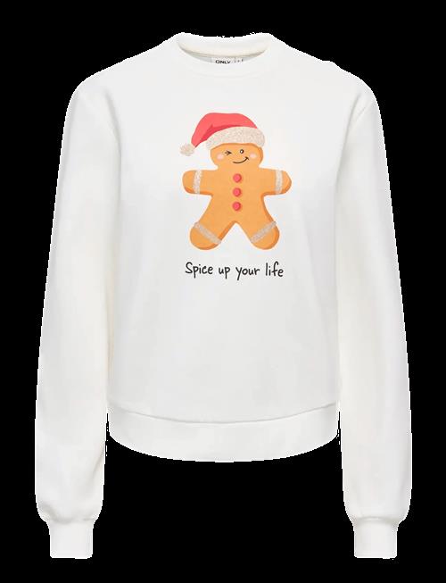ONLY | Onlyda Xmas L/S O-Neck Box Swt | XS