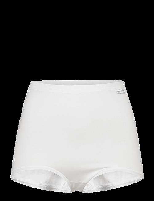 Damella of Sweden | Maxi Brief | XL