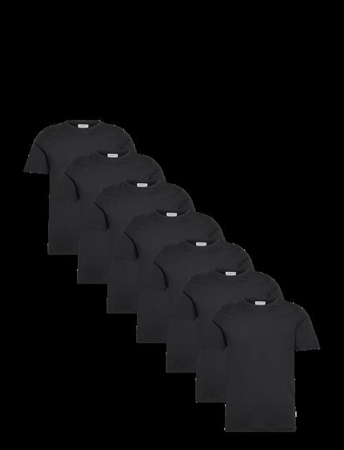 Lindbergh | 7-Pack Basic Tee S/S | XXL