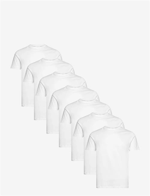 Lindbergh | 7-Pack Basic Tee S/S | L