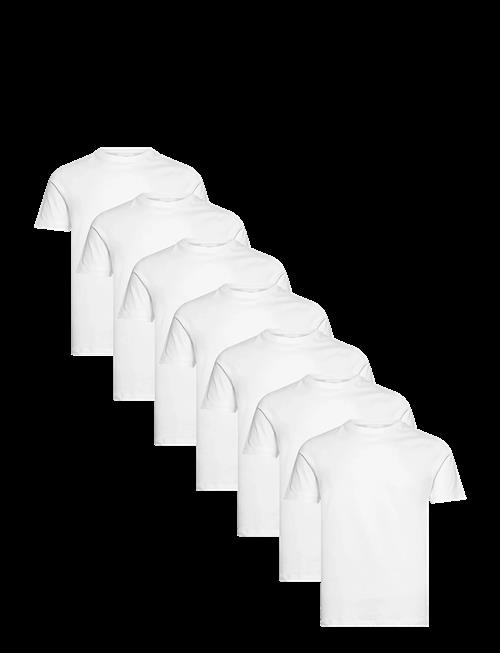Lindbergh | Basic O-Neck Tee S/S 7 Pack | L