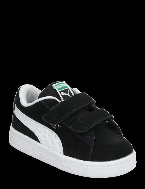 PUMA | Suede Classic V Inf | 19
