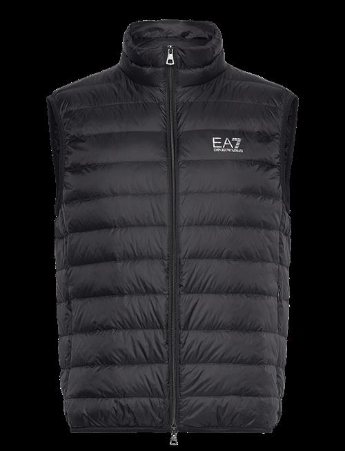 EA7 | Down Waistcoat | XL