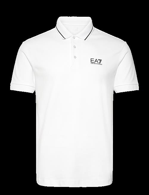 EA7 | Polo Shirt | XXXL