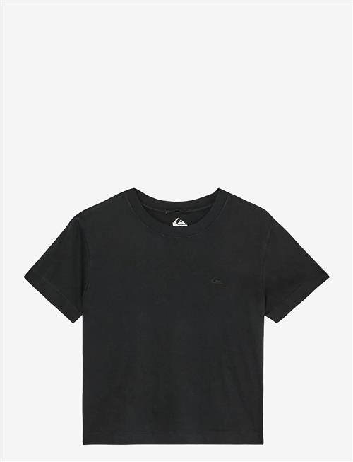 Quiksilver | Essential Ss Tee | L