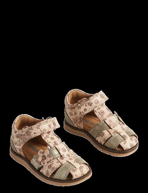 Wheat | Sandal Sky Flower | 22