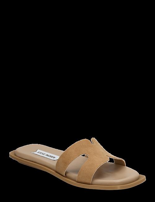 Steve Madden | Sofia | 37