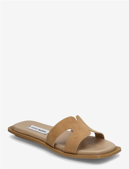 Steve Madden | Sofia | 40