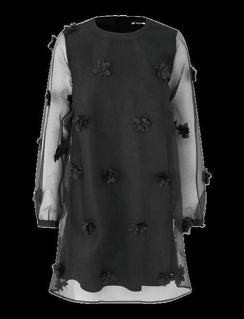MBYM | Molli Ls-M | XL