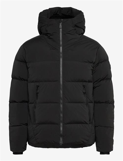 Sail Racing | Cloud Down Stretch Hood | XL