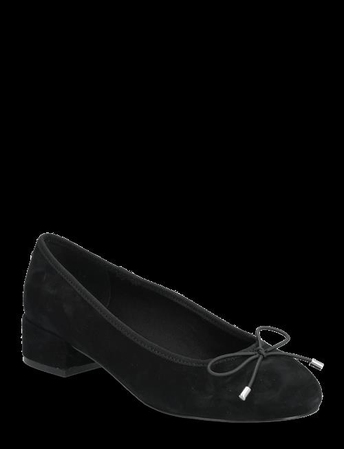 Steve Madden | Cherisher | 41